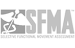 Selective Functional Movement Assessment